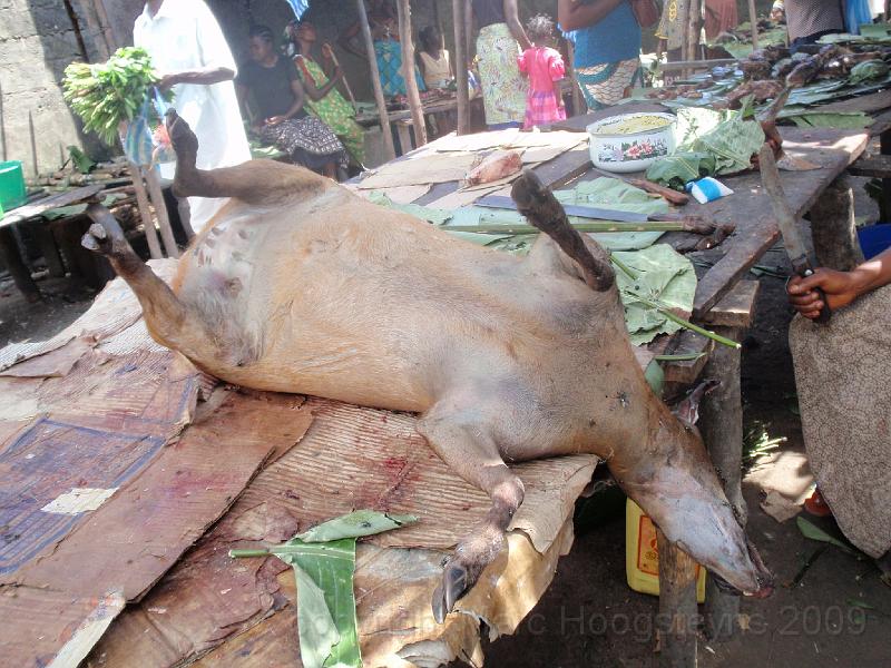 A poached antilope Lodja 2.jpg